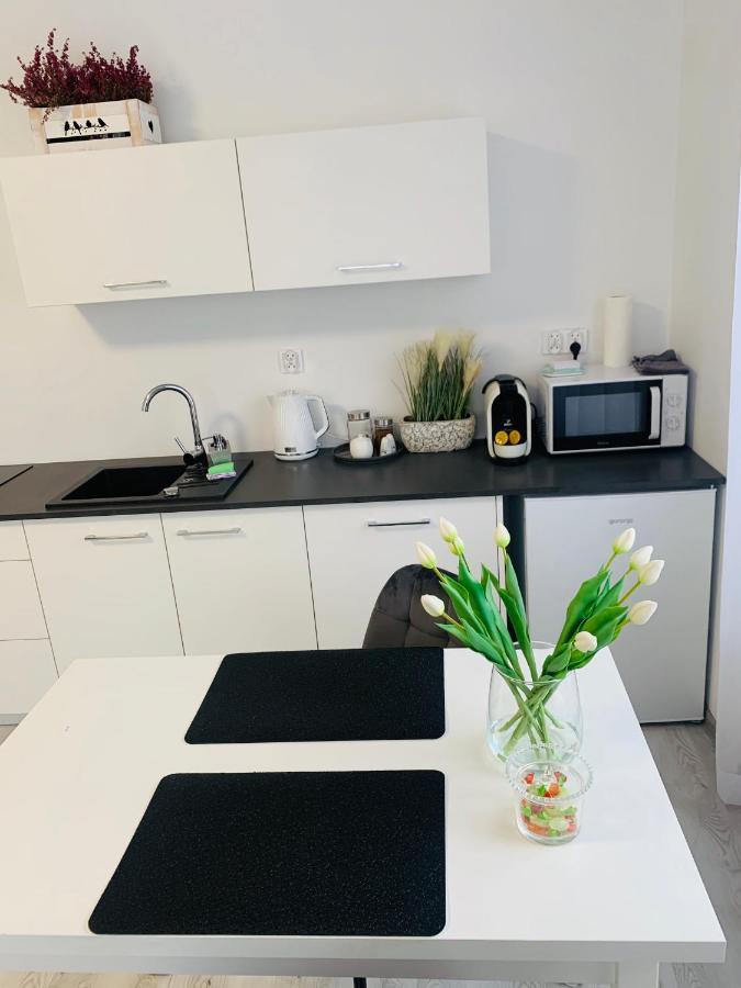 Apartament Walczaka 22 Miejsce Parkingowe ゴジュフ・ヴィエルコポルスキ エクステリア 写真